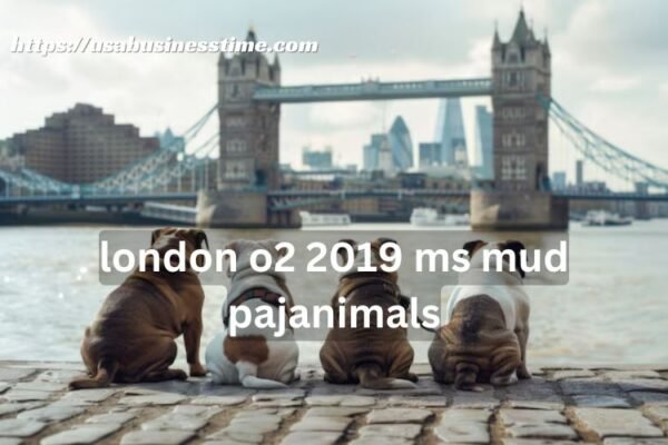 London O2 2019 MS Mud Pajanimals