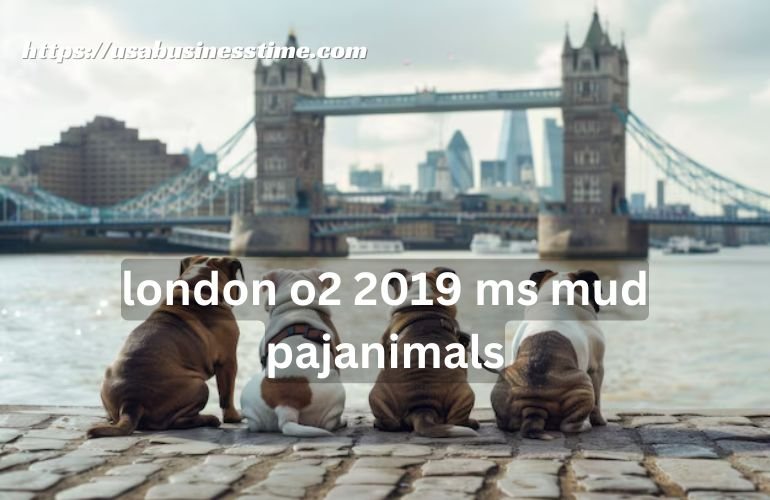 London O2 2019 MS Mud Pajanimals